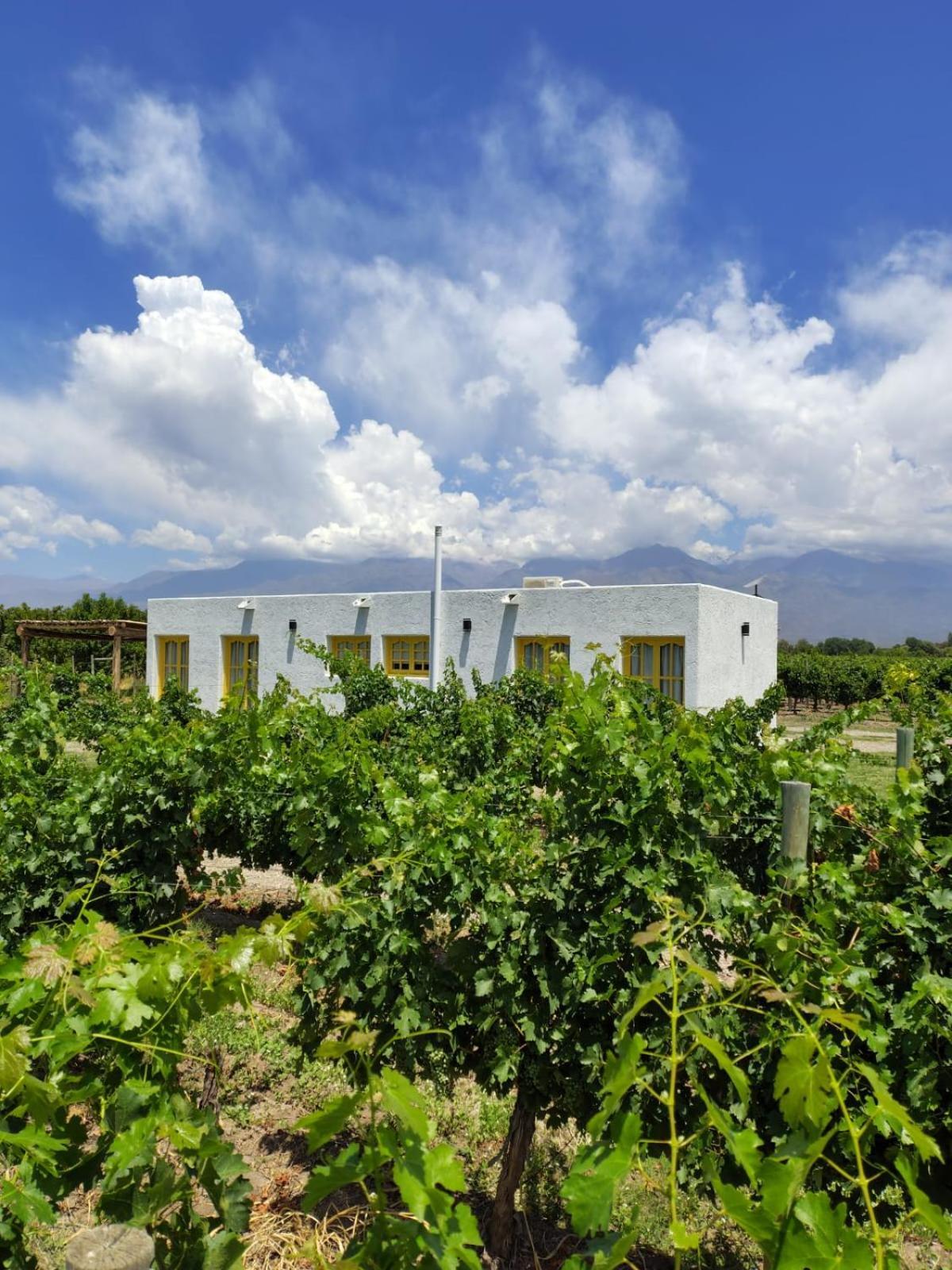 Lodge Rosablanca